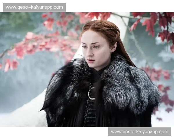 冰与火之歌：达拉斯与西雅图，两种截然不同的美国生活画卷