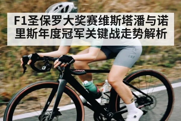 F1圣保罗大奖赛维斯塔潘与诺里斯年度冠军关键战走势解析